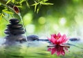 Spa Stones And Waterlily With Fountain In Zen Garden