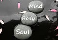 Spa stones with words Mind, Body, Soul and pink flower petals in water. Zen lifestyle Royalty Free Stock Photo
