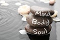 Spa stones with words Mind, Body, Soul and rose petals in water. Zen lifestyle