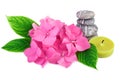Spa stones zen with pink flowers and candle on white Royalty Free Stock Photo
