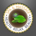 SPA theme vector illustration with leaves and drop.