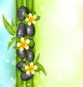 Spa therapy background with bamboo, stones and frangipani flower