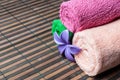 Spa towels rolls and flower. Royalty Free Stock Photo