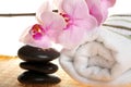 Spa Treatment Royalty Free Stock Photo