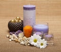 Spa treatment - aromatherapy Royalty Free Stock Photo