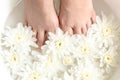 Spa treatment and massage product for female manicure foots skin care with white flower.