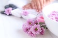 Spa treatment and product for female feet and manicure nails spa with pink flower and rock stone,