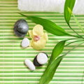 Spa treatment with stones, orchid flower and green bamboo