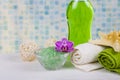 Spa treatments in the bathroom. Royalty Free Stock Photo