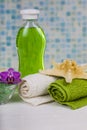 Spa treatments in the bathroom. Royalty Free Stock Photo