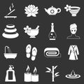 Spa treatments icons set grey vector