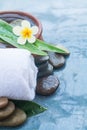 Spa tropical flower and objects for healhty massage treatment