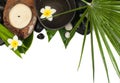 spa tropical objects with leaves for therapy massage Royalty Free Stock Photo