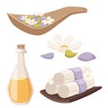 Spa vector icons treatment beauty procedures wellness spa-massage herbal cosmetics aroma spa stones towels and lotus Royalty Free Stock Photo