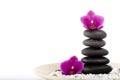Spa and wellness Royalty Free Stock Photo
