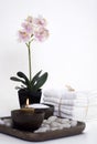 Spa Wellness Cameo Royalty Free Stock Photo