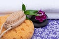 Spa Wellness Concept. Foam Bath & Shower Sea Sponge, Natural Bristle Wooden Brush, Basalt Stones, Bamboo and Orchid Flower Royalty Free Stock Photo