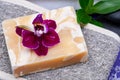 Spa Wellness Concept. Natural Back Scrubber, Almond Goat`s milk Soap, Basalt Stones, Bamboo green leaves and Orchid Flower Royalty Free Stock Photo