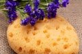 Spa Wellness Concept. Natural Foam Bath & Shower Sea Sponge and Dark Purple Statice Limonium sinuatum Flowers on burlap Royalty Free Stock Photo