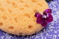 Spa Wellness Concept. Natural Foam Bath & Shower Sea Sponge, Orchid Flower and Lavender Epsom Salt on bright purple Royalty Free Stock Photo