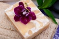 Spa Wellness Concept. Natural Loofah Sponge, Almond Goat`s milk Soap, White Towels, Basalt Stones, Bamboo and Orchid Flower Royalty Free Stock Photo