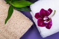 Spa Wellness Concept. Natural Loofah Sponge, rolled up White Towels, stacked Basalt Stones, Bamboo and Orchid Flower on purple Royalty Free Stock Photo