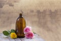Spa and wellness concept: preparation of essential oil with pink roses, brown bottle of tincture on wooden board with a