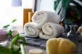 Spa products in natural setting. Fresh towels