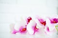 Spa and wellness scene. Orchid flower on the wooden pastel background Royalty Free Stock Photo