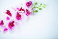 Spa and wellness scene. Orchid flower on the wooden pastel background Royalty Free Stock Photo