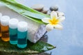 Spa or wellness set of bottles with oil and towel, flower Royalty Free Stock Photo