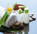 Spa or wellness setting with cream tubes and tropical flowers Royalty Free Stock Photo