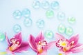 Spa and wellness setting with orchid flower, glass drops on wooden blue background closeup top view Royalty Free Stock Photo