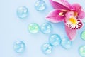 Spa and wellness setting with orchid flower, glass drops on wooden blue background closeup top view Royalty Free Stock Photo