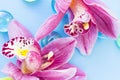 Spa and wellness setting with orchid flower, glass drops on wooden blue background closeup top view Royalty Free Stock Photo