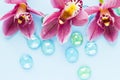 Spa and wellness setting with orchid flower, glass drops on wooden blue background closeup top view Royalty Free Stock Photo