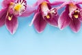 Spa and wellness setting with orchid flower, oil on wooden blue background closeup top view Royalty Free Stock Photo