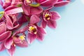 Spa and wellness setting with orchid flower, oil on wooden blue background closeup top view Royalty Free Stock Photo