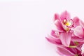 Spa and wellness setting with orchid flower, oil on wooden white background closeup top view Royalty Free Stock Photo