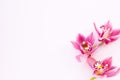 Spa and wellness setting with orchid flower, oil on wooden white background closeup top view Royalty Free Stock Photo