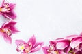 Spa and wellness setting with orchid flower, oil on wooden white background closeup top view Royalty Free Stock Photo