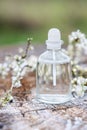 Spa and wellness setting with sea salt, oil essence, flowers and Royalty Free Stock Photo