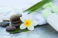 Spa or wellness setting with tropical flowers. Cream tubes on the towel. Body care and spa concept Royalty Free Stock Photo