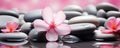 spa and wellness wallpaper with pink flower and stones