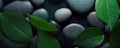 spa wellness wallpaper with stones and green leaves