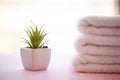 Spa. White Cotton Towels Use In Spa Bathroom on Pink Background. Towel Concept. Photo For Hotels and Massage Parlors Royalty Free Stock Photo