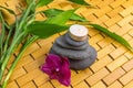 Spa, zen, massage concept. Bamboo leaves, black stones, purple orchid, candle on wood background Royalty Free Stock Photo