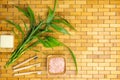 Spa, zen, massage concept. Bath salt, bamboo leaves, soap dish, toothbrush. Top view. Flat lay