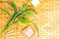 Spa, zen, massage concept. Bath salt, bamboo leaves, soap dish, toothbrush. Top view. Flat lay.