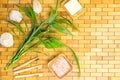 Spa, zen, massage concept. Bath salt, bamboo leaves, soap dish, toothbrush, white stones. Top view